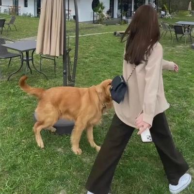 人生双行线
